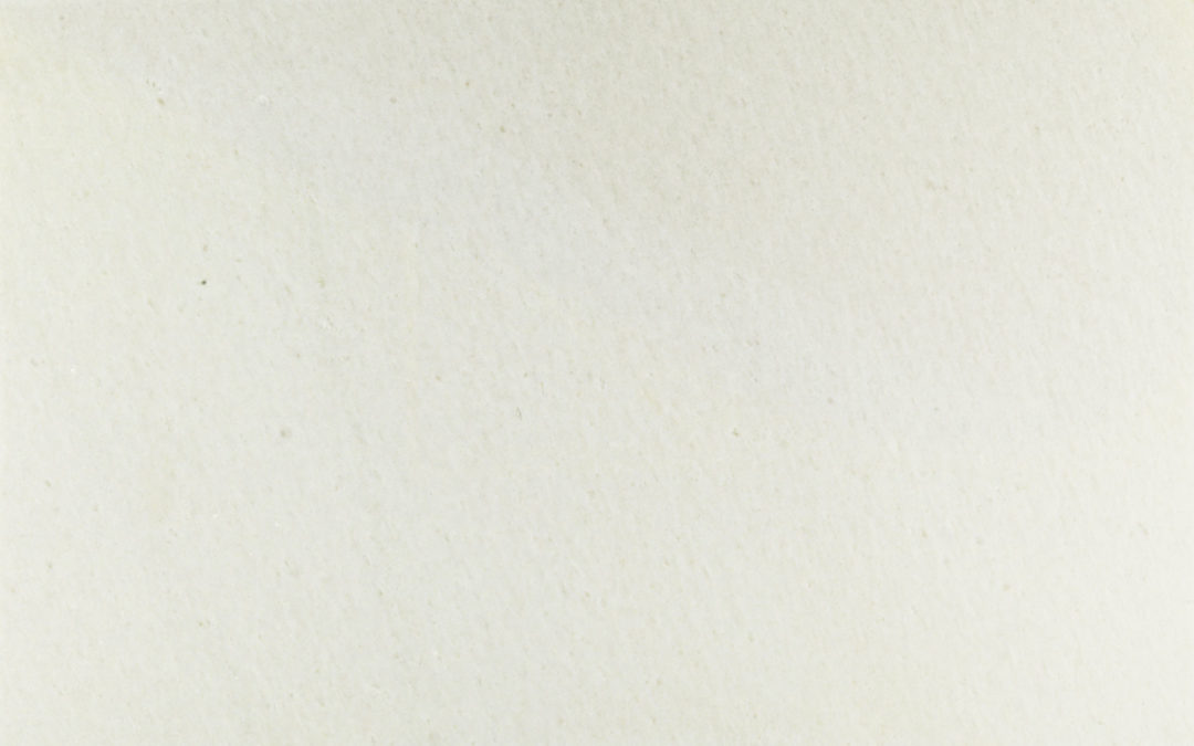 White Arctyc